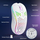 2.4G Wireless Mouse with RGB Backlit 6-Button 3-Speed DPI Type C Rechargeable Ergonomic Gaming Mouse - Electronic station