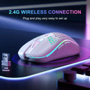 2.4G Wireless Mouse with RGB Backlit 6-Button 3-Speed DPI Type C Rechargeable Ergonomic Gaming Mouse - Electronic station