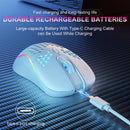 2.4G Wireless Mouse with RGB Backlit 6-Button 3-Speed DPI Type C Rechargeable Ergonomic Gaming Mouse - Electronic station