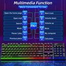 RGB Gaming Keyboard and Mouse Combo - 26 Anti-Ghosting Keys - Electronic Station - Electronic station